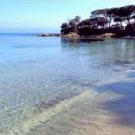 Studio 100M Plage Sable Fin, Sanguinaire, Ajaccio.