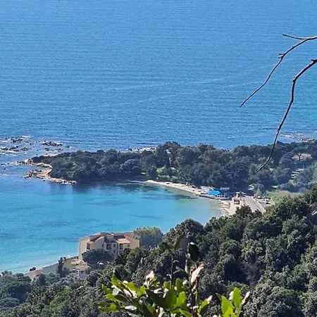 Studio 100M Plage Sable Fin, Sanguinaire, Ajaccio. *