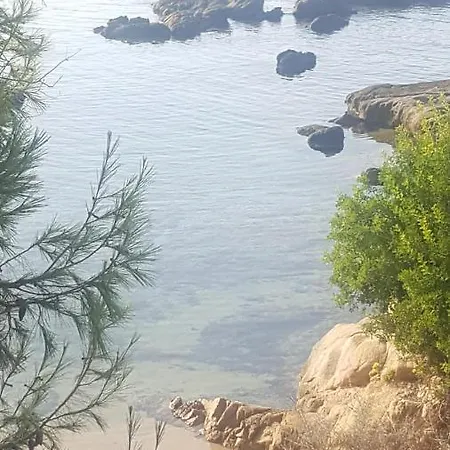 Studio 100M Plage Sable Fin, Sanguinaire, Ajaccio. Apartment
