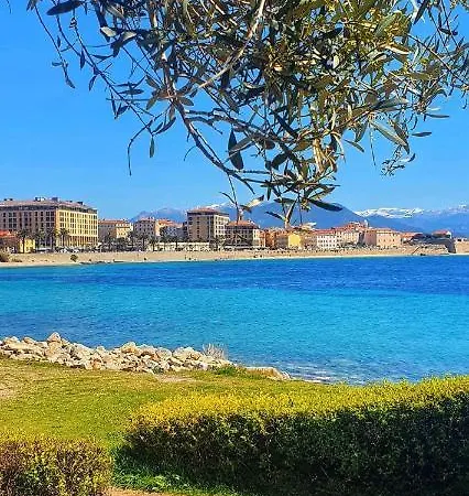 Apartment Studio 100M Plage Sable Fin, Sanguinaire, Ajaccio. *